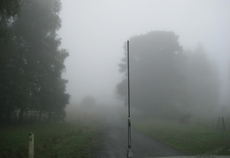 IMG 3557