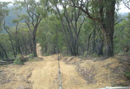 IMG 3559