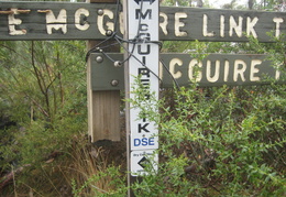 IMG 3563