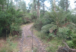 IMG 3568