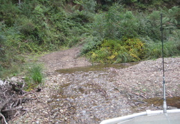IMG 3571
