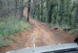IMG 3586
