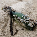 bottle in the sand