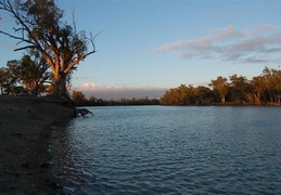 DSC 1569