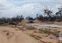 DSC 1620