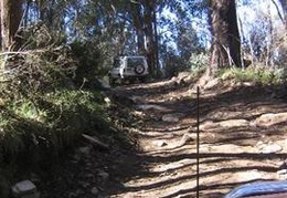 IMG 0054