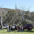 IMG 1252