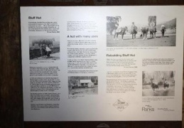 IMG 1357