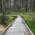 IMG 4728