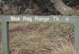 Blue rag (6)