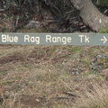 Blue rag (6)