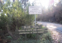 Blue rag (14)
