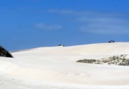 Image00011