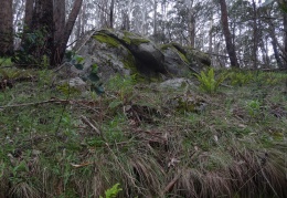 Marysville 2015-11-21 00023