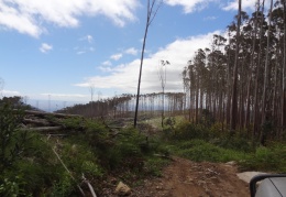 Marysville 2015-11-21 00025