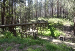 Marysville 2015-11-21 00026