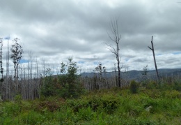 Marysville 2015-11-21 00010