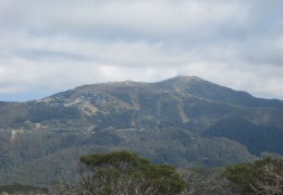 Bush Huts (9)