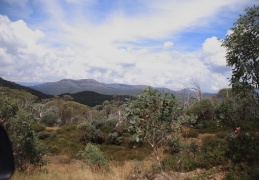 Huts Trip9