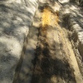 992 IMG 6425 1944x2592