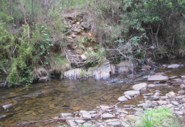 1133 IMG 6189 2592x1944