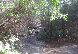 1223 IMG 7282 1600x1200