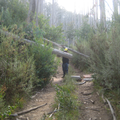 1230 IMG 7290 1600x1200