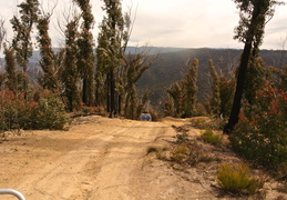 DSC 4258