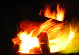 DSC 4263