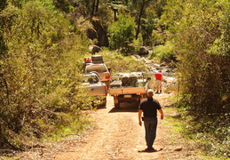 DSC 0069