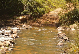 DSC 0071