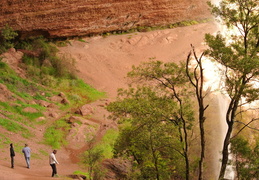 DSC 0157
