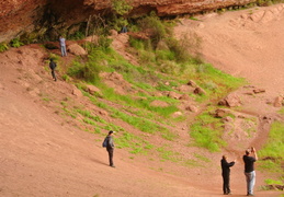 DSC 0159