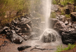 DSC 0163