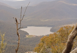 DSC 0172