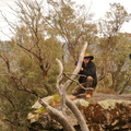 DSC 0174