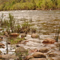 DSC 0217