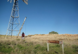 IMG 7655