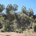 IMG 7995