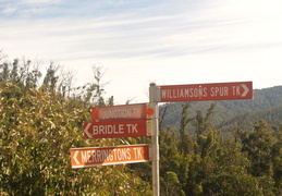 DSC 0701