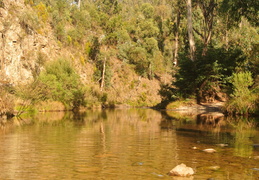 DSC 0709