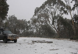 DSCN0690