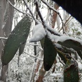 DSCN0742