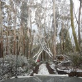 DSCN0744