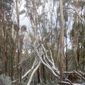 DSCN0745