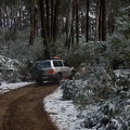 DSCN0747