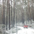 DSCN0756