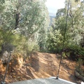 DSCN0769