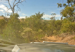 DSC 0359
