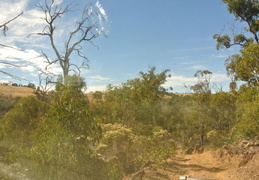 DSC 0360